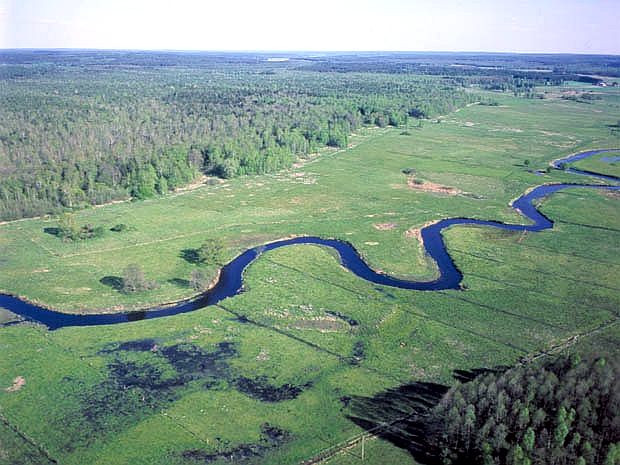 rez. Bahno w Borkach