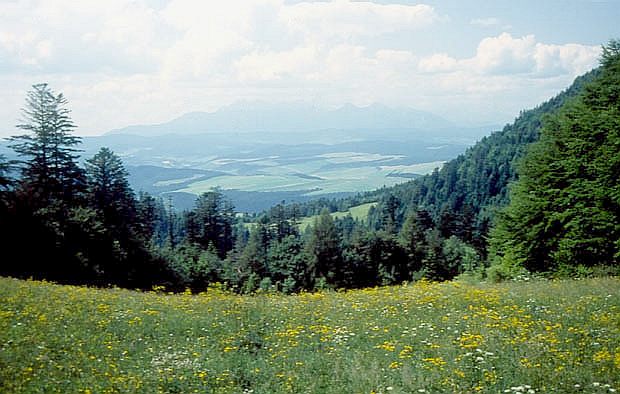 Tatry z przeczy Szopka
