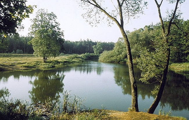 Otoczenie Staww Milickich