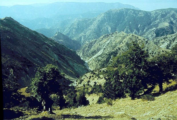 Park Narodowy Kalabrii - Aspromonte