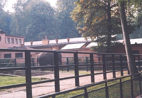 Wybieg dla soni - Krakw