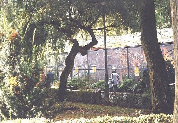 Ptaszarnia ZOO w Krakowie