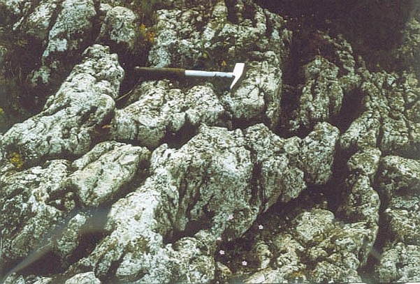 Mikrorzeba krasowa na skalnej grani gry Zelejowej