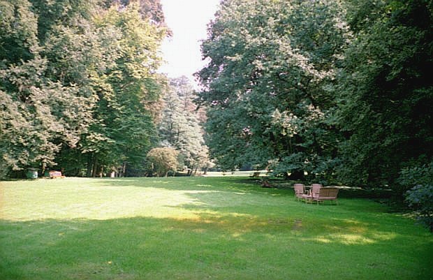 Gwna polana parku dworskiego w ledziejowicach