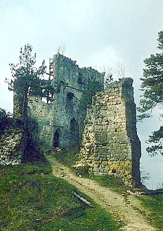 Ruiny zamku "Kamieniec" w Odrzykoniu