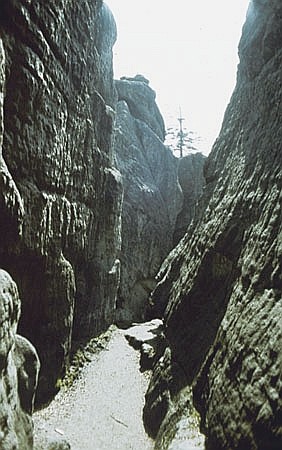 Szczeliniec Wielki - jedna z gbokich szczelin