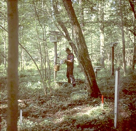 Powierzchnia badawcza w grdzie