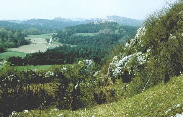 Widok z wierzchokowej strefy Gry Zborw