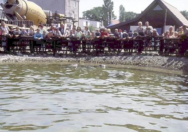 Fokarium Stacji Morskiej Uniwersytetu Gdaskiego
