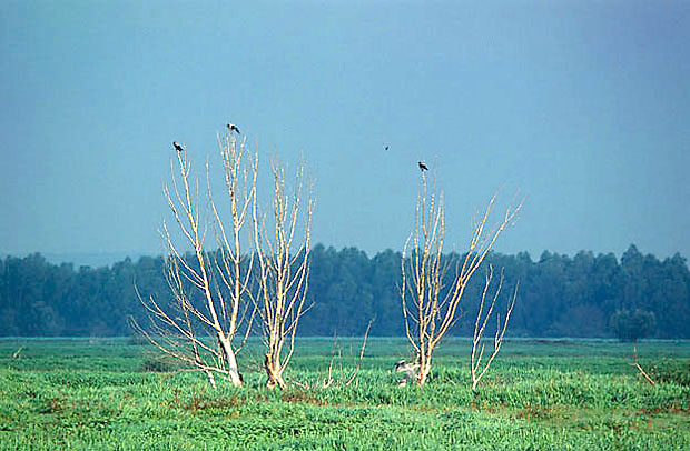 ki - rezerwat "Sosk"