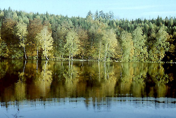 Jezioro Ciche - planowany uytek ekologiczny
