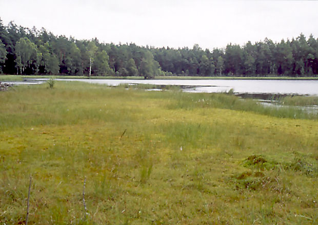 Rezerwat "Jeziorka Chonickie"