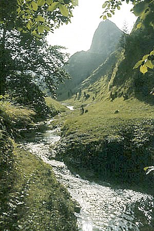 Rezerwat "Biaa Woda"