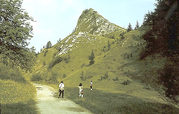 Smolegowa Skaa - ostoja rzadkich gatunkw rolin