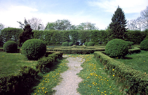 Park dworski w Mogilanach