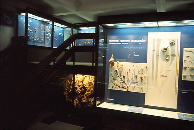 Muzeum Przyrodnicze ISiEZ PAN