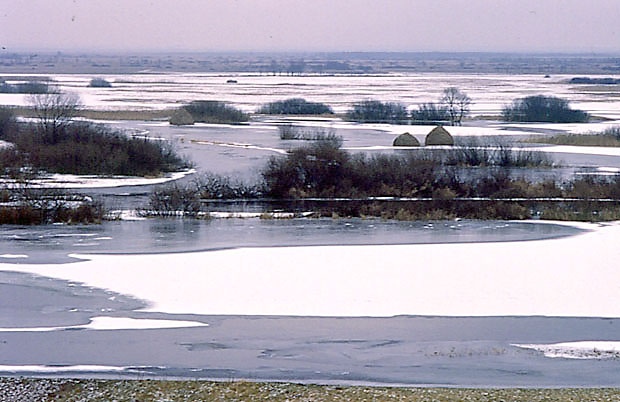 Rozlewiska Biebrzy zim