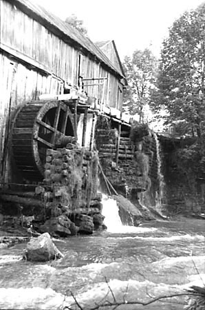 Nieistniejce ju koo myna-tartaku