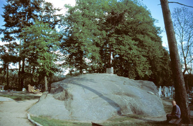 "Trygaw" - najwikszy, znaleziony w Polsce gaz narzutowy