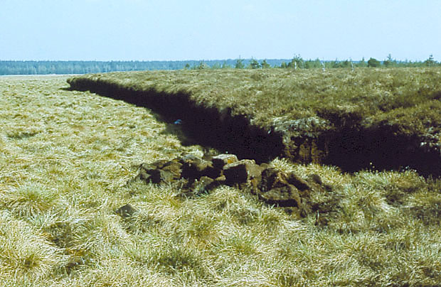 Torfowiska Orawskie - eksploatacja torfu. 