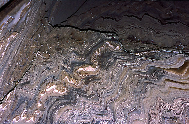 Jeden z objtych ochron profili geologicznych