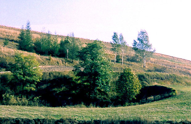 Miechowsko-Dziaoszycki OChK 