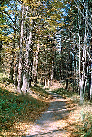 OChK - malownicze, mao uczszczane szlaki niszych czci Beskidw