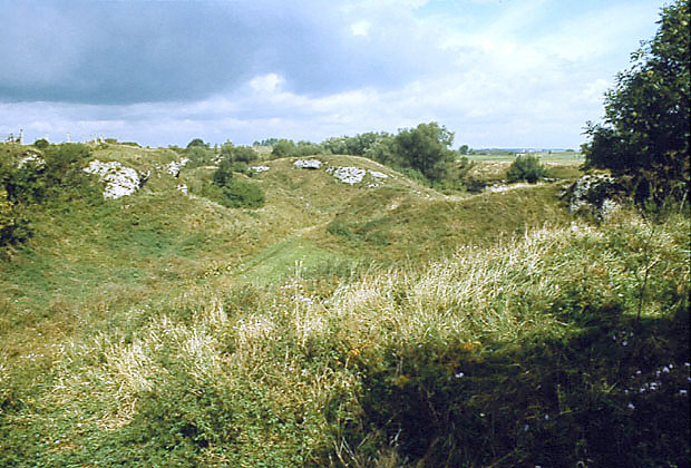 Rezerwat "Skorocice"