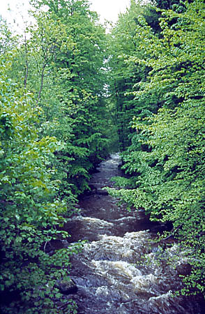 Potok Bystrzyca Dusznicka w Piekielnej Dolinie k. Polanicy