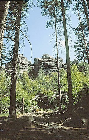 Skaki rdlene w masywie Dzika