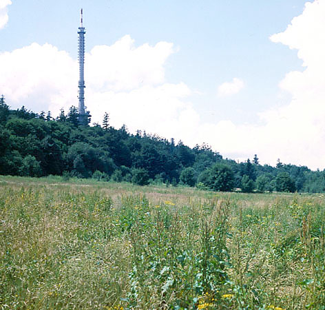 witokrzyski PN - ka pod szczytem w. Krzya, widoczna wiea stacji nadawczej TV