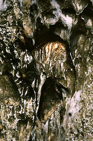 Szata naciekowa - draperie