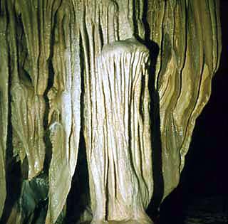 Rezerwat "Jaskinia Niedwiedzia"