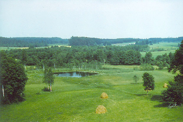 Okolice wsi Leszczewo