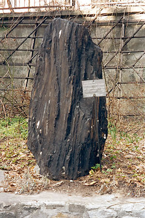 Skrzemieniay pie z grnego karbonu