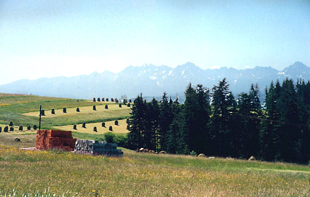 Degradacja krajobrazu przez rozproszon zabudow