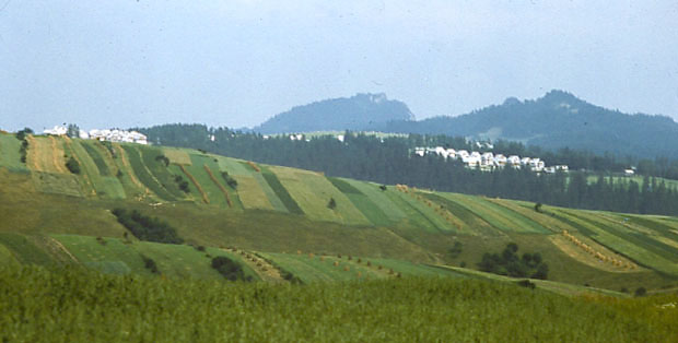 Osiedle Czorsztyn Nadzamcze